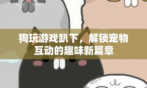 狗玩游戲趴下，解鎖寵物互動(dòng)新樂趣