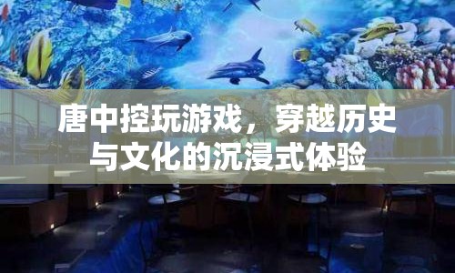 唐中控，穿越歷史與文化的沉浸式游戲體驗(yàn)