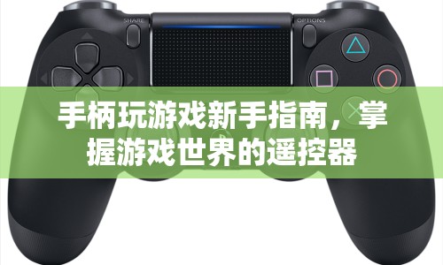 新手必看，掌握游戲世界的遙控器——手柄游戲指南