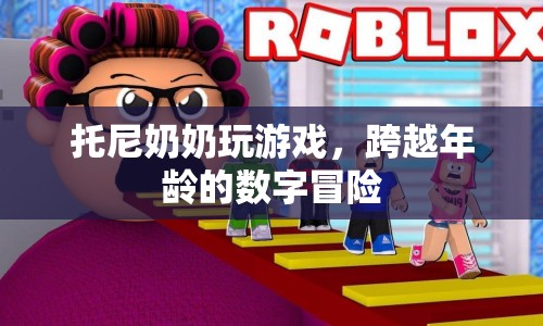 托尼奶奶的數(shù)字冒險，跨越年齡的趣味游戲之旅