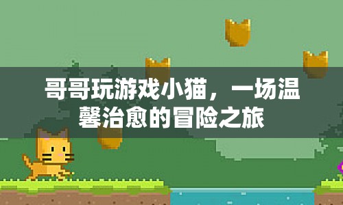哥哥與小貓的溫馨治愈冒險(xiǎn)之旅