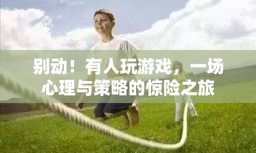 心理與策略的驚險博弈，一場游戲之旅