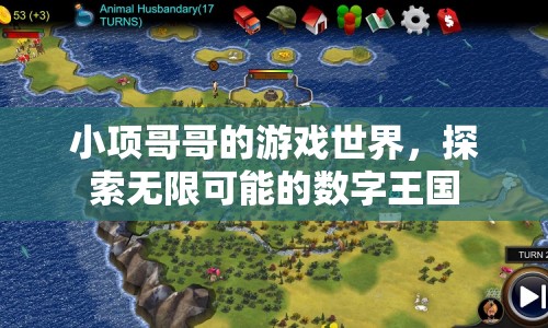 小項(xiàng)哥哥的數(shù)字王國，探索游戲世界的無限可能