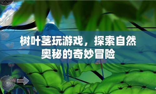 探索自然奧秘，樹葉莖的奇妙冒險(xiǎn)