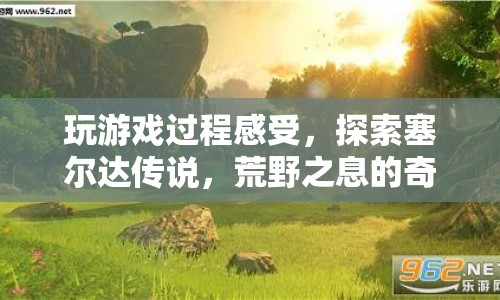 探索塞爾達(dá)傳說，荒野之息的奇妙世界，游戲過程中的感受與體驗(yàn)