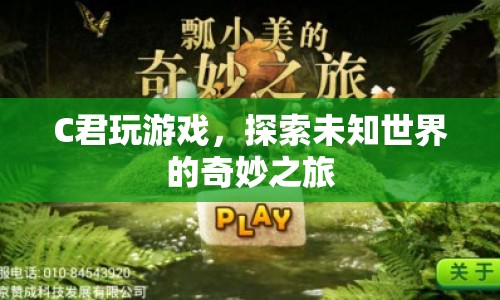 C君的奇妙游戲探險之旅