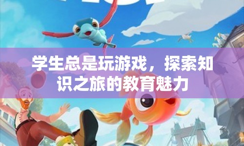 探索知識(shí)之旅，游戲化的教育魅力