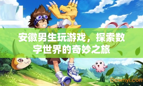 安徽男生探索數(shù)字世界的奇妙之旅