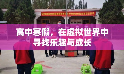 高中寒假，在虛擬世界中尋找樂(lè)趣與成長(zhǎng)
