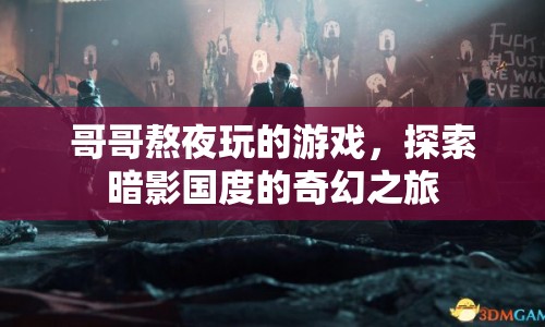 哥哥熬夜探索的奇幻游戲，暗影國(guó)度的神秘之旅