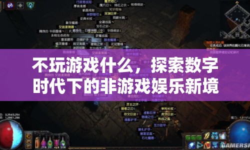 探索數(shù)字時代下的非游戲娛樂新境界