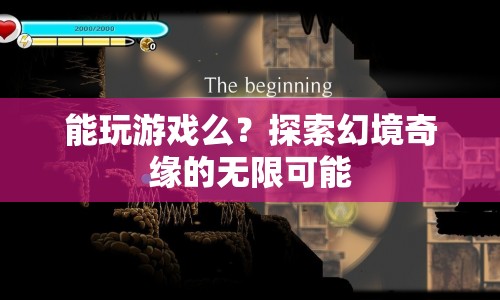 探索幻境奇緣，解鎖無限游戲可能