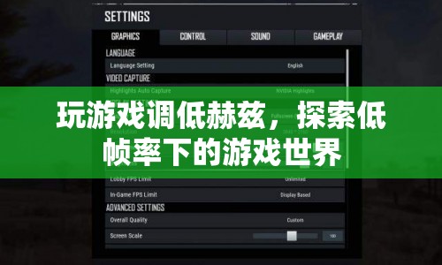 低幀率下的游戲世界，探索與體驗