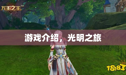光明之旅，一場探索與冒險的旅程