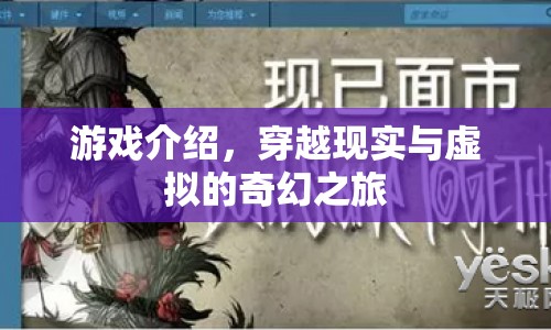 穿越現(xiàn)實(shí)與虛擬的奇幻之旅，一場游戲盛宴的揭秘