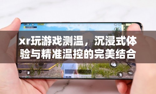 XR游戲測(cè)溫，沉浸式體驗(yàn)與精準(zhǔn)溫控的完美融合