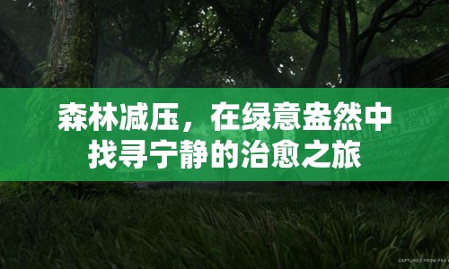 森林減壓，綠意中的寧靜治愈之旅