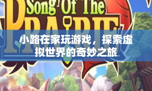 探索虛擬世界的奇妙之旅，小路的游戲之旅