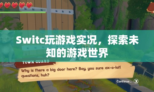 Switch游戲?qū)崨r，探索未知的游戲世界