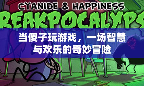 傻子玩游戲，智慧與歡樂(lè)的奇妙冒險(xiǎn)