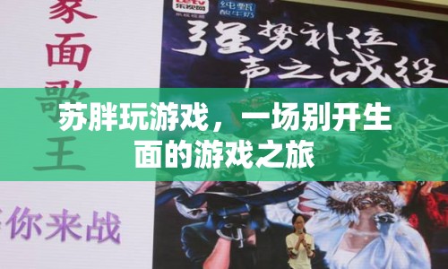 蘇胖的游戲奇遇，一場(chǎng)別開生面的游戲之旅