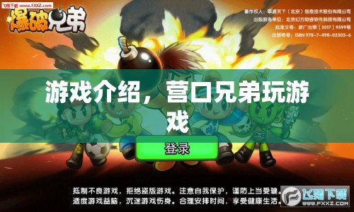 營口兄弟玩游戲，探索游戲世界的奇妙之旅