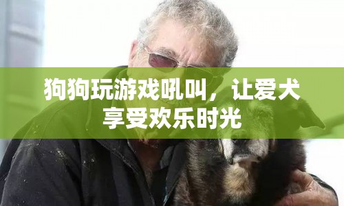 狗狗玩游戲吼叫，享受歡樂(lè)時(shí)光