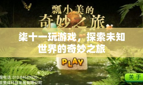 柒十一，探索未知世界的奇妙之旅