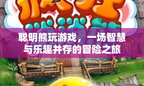 聰明熊的冒險之旅，智慧與樂趣的碰撞