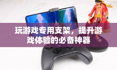 玩游戲?qū)Ｓ弥Ъ?，提升游戲體驗(yàn)的必備神器