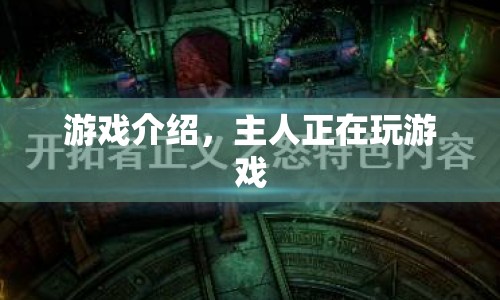 主人正在玩的游戲，探索未知世界