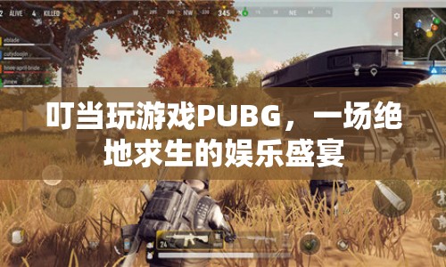 叮當(dāng)絕地求生娛樂盛宴，精彩瞬間全記錄