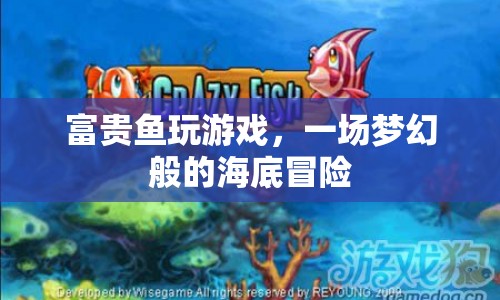 富貴魚(yú)海底冒險(xiǎn)，夢(mèng)幻般的游戲之旅