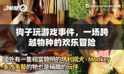 狗子跨界玩游戲，萌寵歡樂冒險記