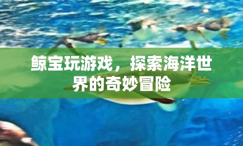 鯨寶游戲，探索海洋世界的奇妙冒險