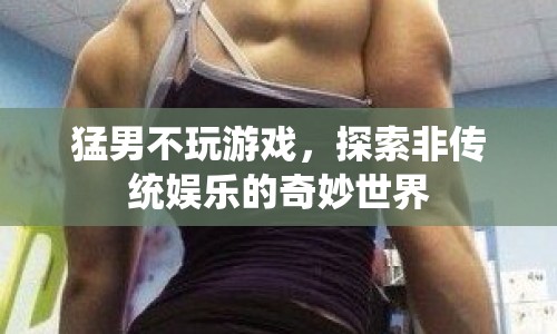 猛男不玩游戲，探索非傳統(tǒng)娛樂(lè)的奇妙世界