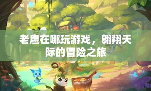 翱翔天際的冒險，老鷹的飛行之旅
