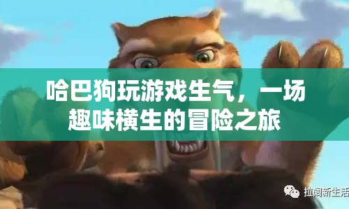 哈巴狗的游戲冒險(xiǎn)，一場(chǎng)生氣與樂(lè)趣的旅程