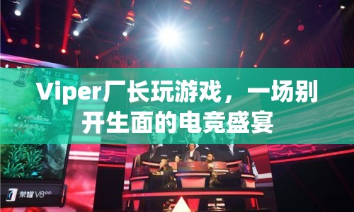 Viper廠長(zhǎng)引領(lǐng)電競(jìng)盛宴，一場(chǎng)精彩絕倫的游戲之旅