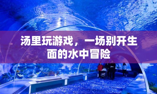 湯里玩游戲，水中冒險新體驗