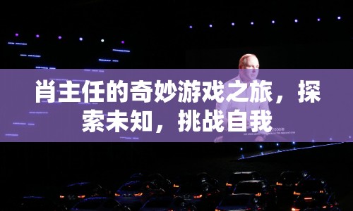 肖主任的奇妙游戲之旅，探索未知，挑戰(zhàn)自我