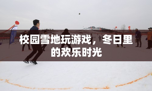 冬日校園雪地游戲，歡樂(lè)時(shí)光