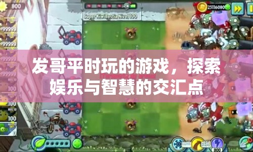探索發(fā)哥游戲世界，娛樂(lè)與智慧的交匯點(diǎn)