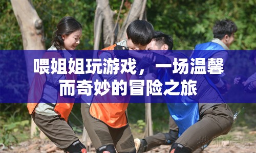 喂姐姐玩游戲，一場溫馨而奇妙的冒險之旅