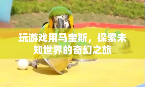 馬奎斯，探索未知世界的奇幻之旅