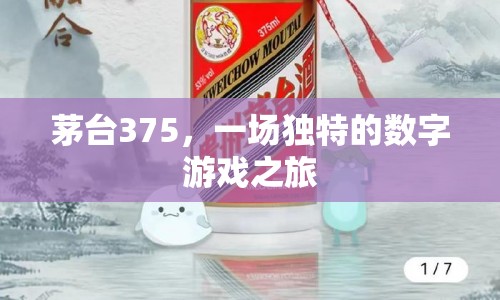 茅臺375，一場數(shù)字游戲之旅的奇妙體驗