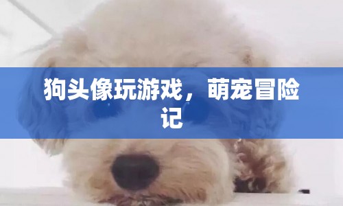 萌寵冒險(xiǎn)記，狗狗頭像的奇妙游戲之旅