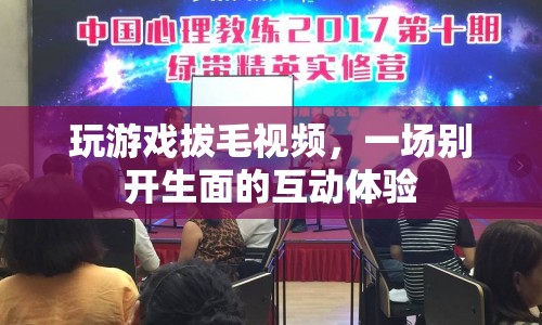 游戲拔毛，互動體驗(yàn)新玩法