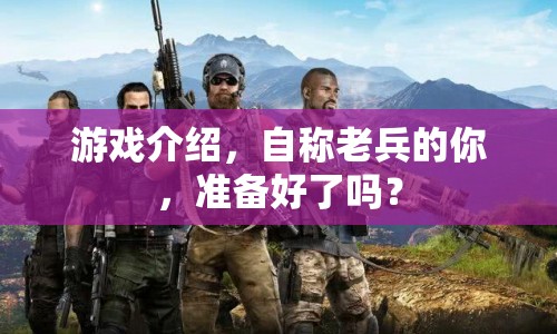 老兵歸來，游戲介紹