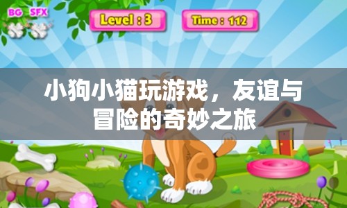 小狗小貓的友誼冒險之旅